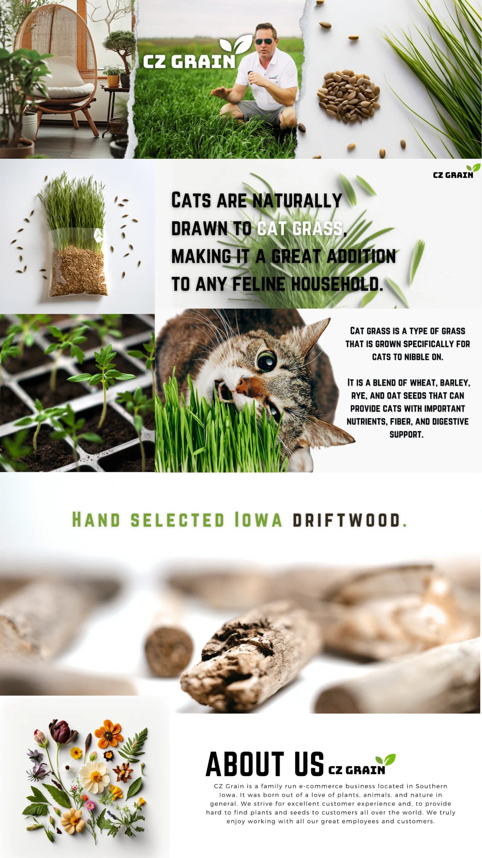 CZ Grain brand, Amazon storefront, and content system